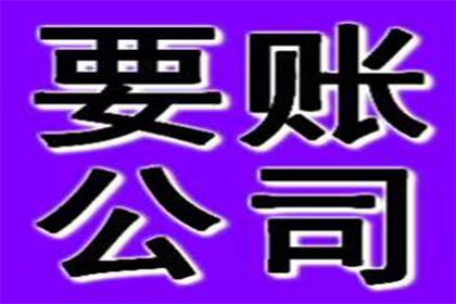 新城区要款公司